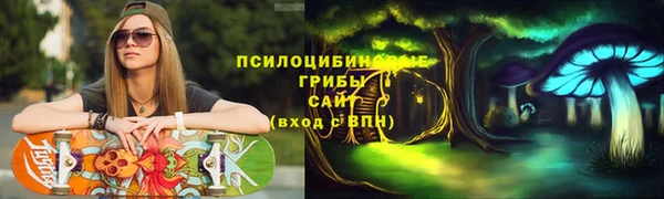 МДПВ Алзамай