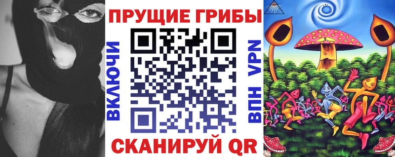 Псилоцибиновые грибы Psilocybine cubensis  Выкса 